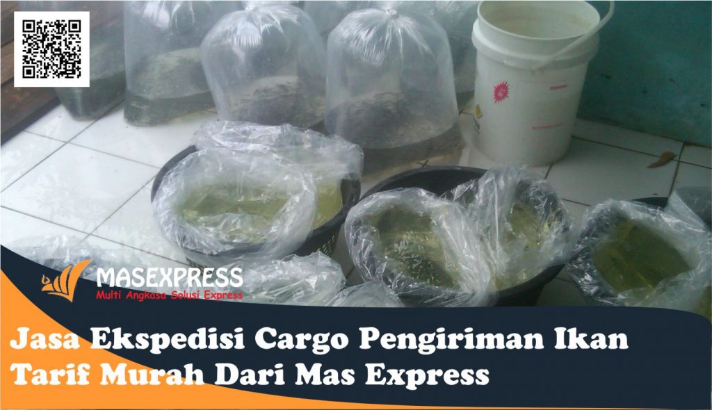 Jasa Ekspedisi Cargo Pengiriman Ikan Tarif Murah Dari Mas Express