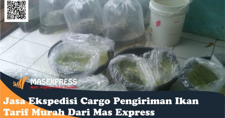 Jasa Ekspedisi Cargo Pengiriman Ikan Tarif Murah Dari Mas Express
