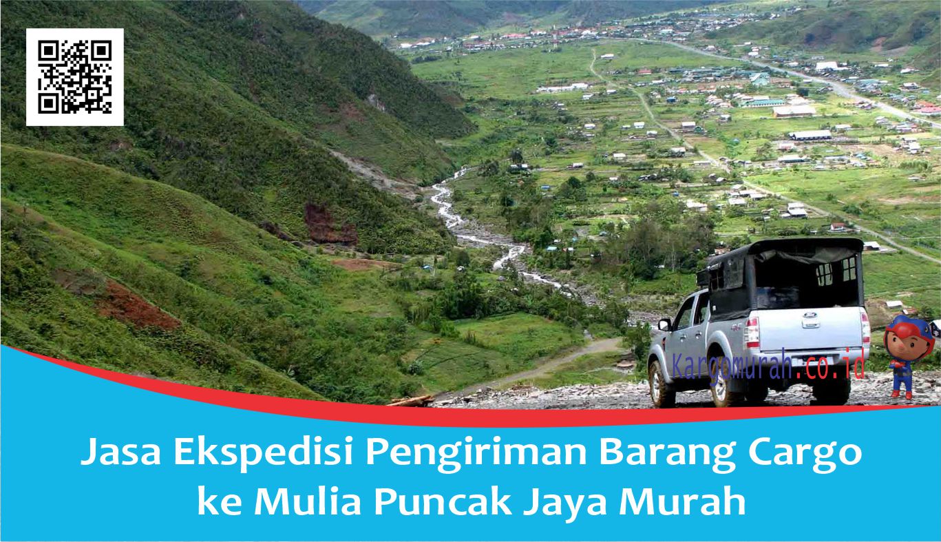 Jasa Ekspedisi Pengiriman Barang Cargo ke Mulia Puncak Jaya Murah
